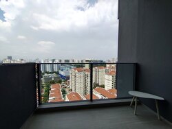 Stirling Residences (D3), Apartment #450197831